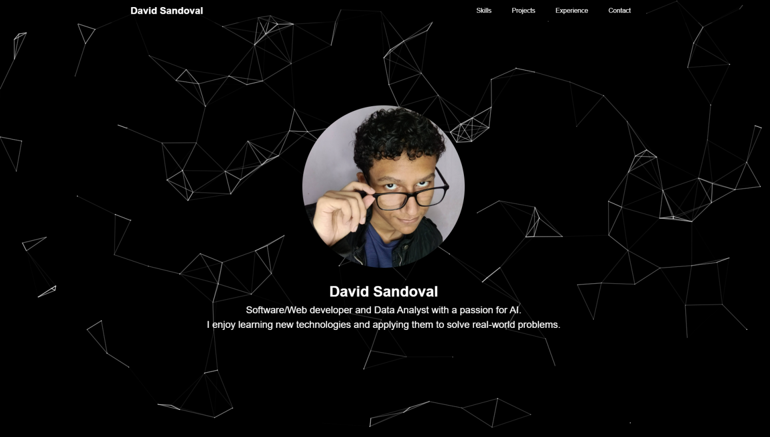 Curriculum Vitae Website
